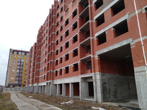 ЖК «Янтарный», ул. Елизаветинская, 1Б — 1 кв. 2023 г.
