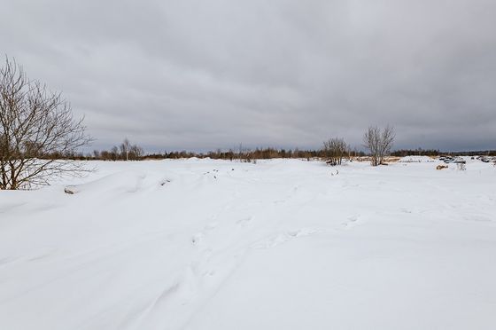 Жилой район «Балтым-Парк» — 1 кв. 2022 г.