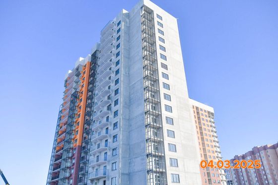 ЖК «Ласточкино» — 1 кв. 2025 г.
