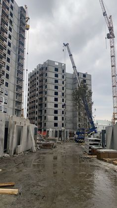 Квартал «На Кедровой» — 1 кв. 2025 г.