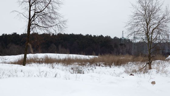 ЖК «Государев дом», ул. Сухановская, 20 — 1 кв. 2019 г.