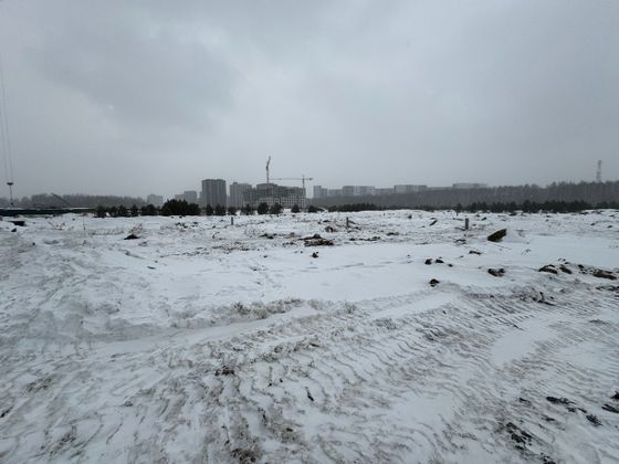 Дом «Концепт» — 1 кв. 2025 г.
