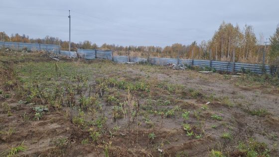 Квартал «Ясный» — 3 кв. 2025 г.