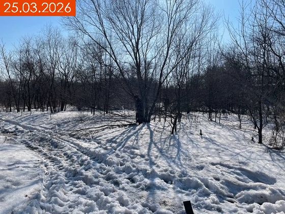 ЖК «Флабеллум» — 1 кв. 2026 г.