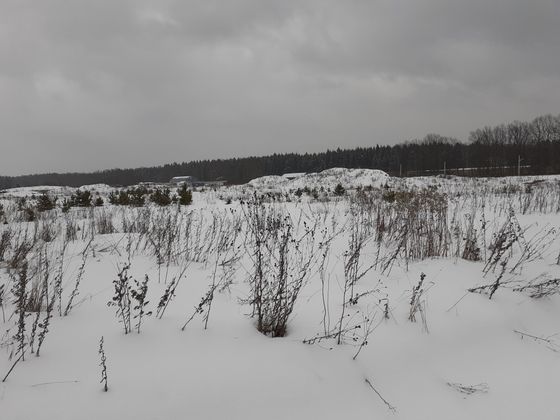 ЖК «Борисоглебское», квартал Сиреневый, 3 — 1 кв. 2021 г.