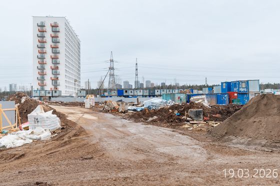 Парголово — 1 кв. 2026 г.