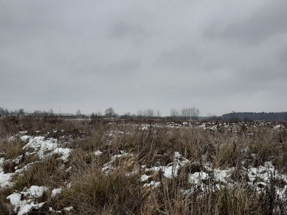 ЖК «Борисоглебское», ул. Генерала Донскова, 27, к. 5 — 4 кв. 2020 г.