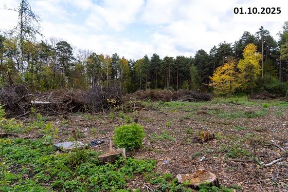 ЖК «Стадиум» — 4 кв. 2025 г.