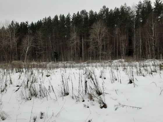 ЖК «Борисоглебское», ул. Генерала Донскова, 25, к. 1 — 4 кв. 2020 г.