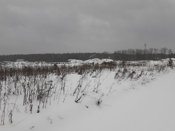 ЖК «Борисоглебское», ул. Генерала Донскова, 25, к. 1 — 1 кв. 2021 г.