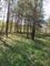 Продажа участка, 10 соток