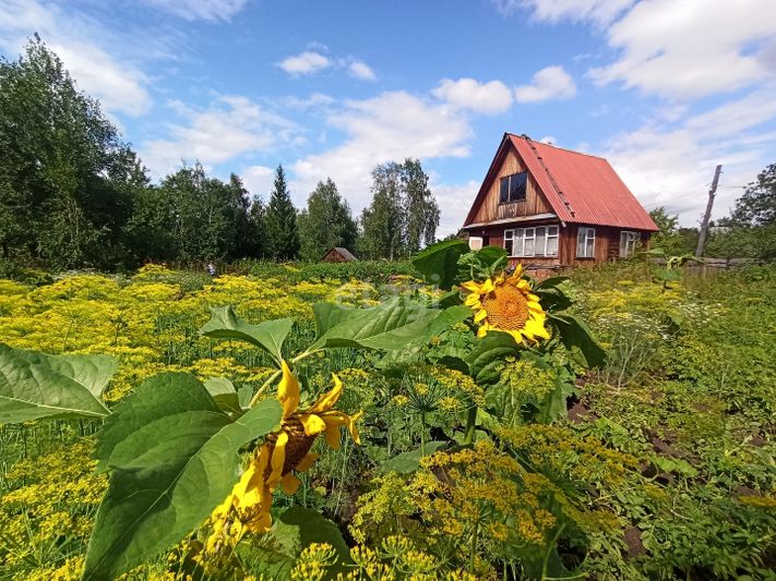 Продажа дома, 84 м², с участком 9,9 сотки