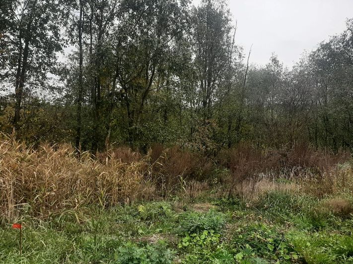 Продажа участка, 8 соток