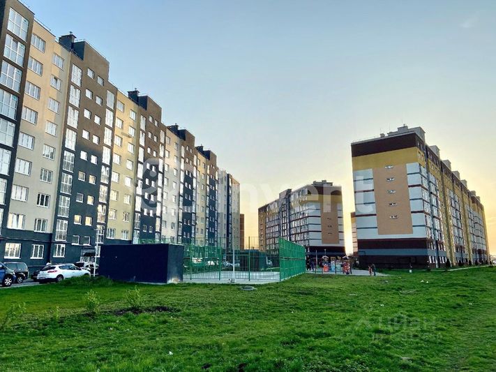 Продажа 3-комнатной квартиры 77,1 м², 8/10 этаж