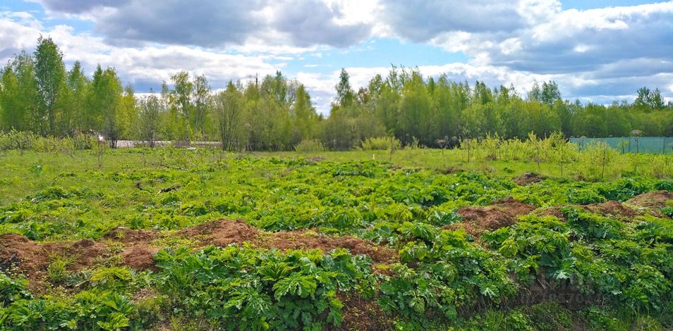 Продажа участка, 10,5 сотки