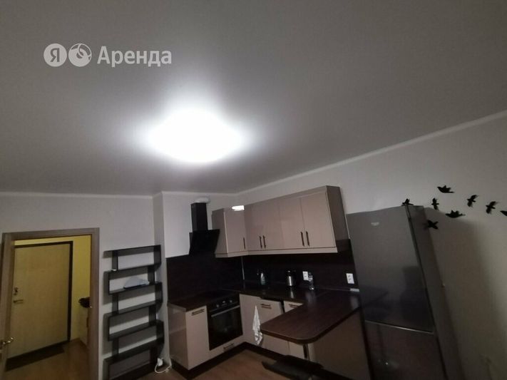 Аренда квартиры-студии 29 м², 17/19 этаж