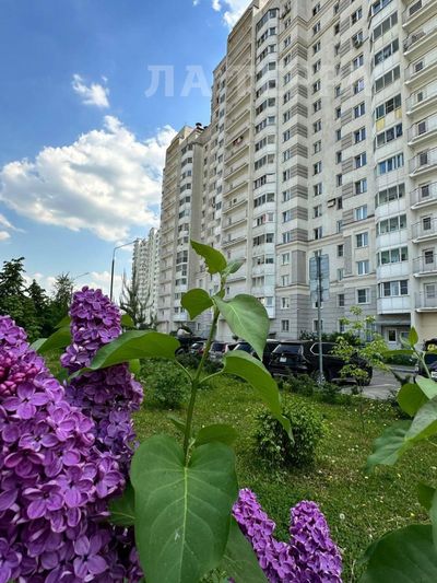 Продажа 3-комнатной квартиры 78,1 м², 12/17 этаж