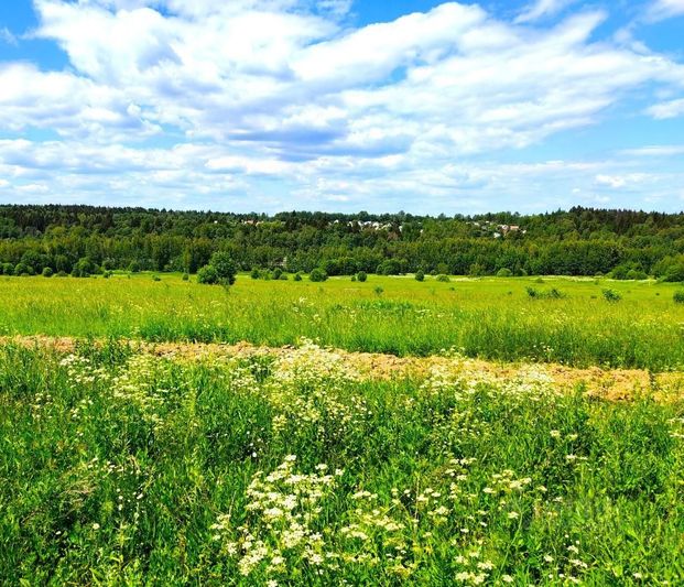 Продажа участка, 10 соток