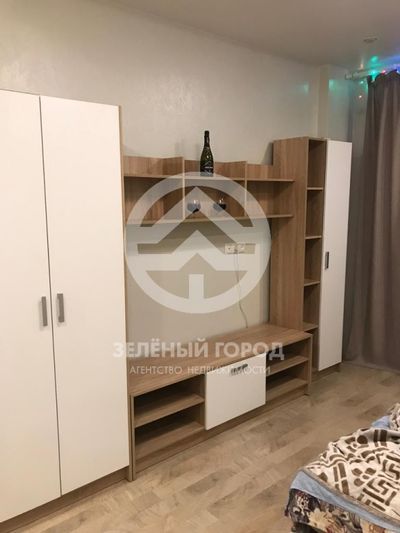 Аренда квартиры-студии 24,2 м², 19/25 этаж